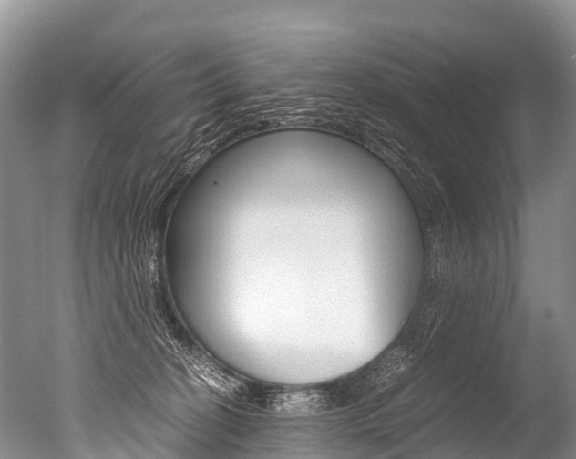 X0000051250274200506170849
