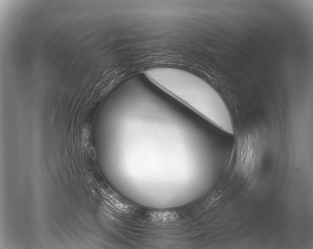 X0000051250281200506170850