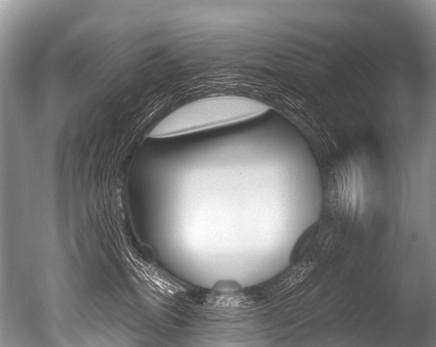 X0000051250282200506170850