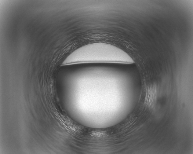 X0000051250283200506170850
