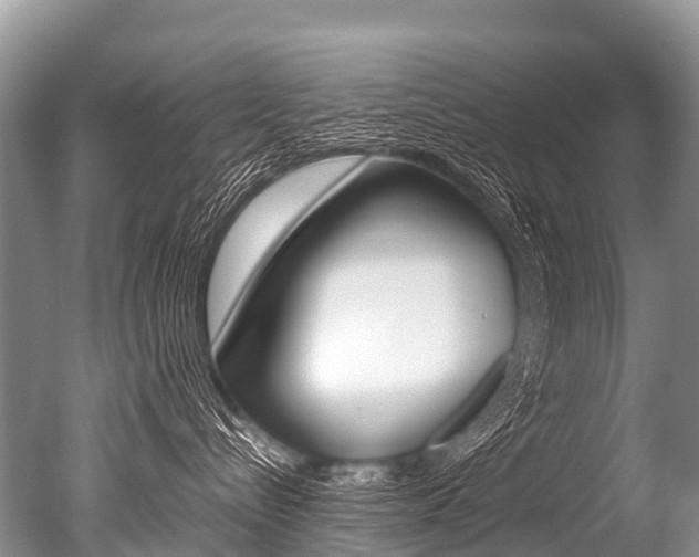 X0000051250288200506170850