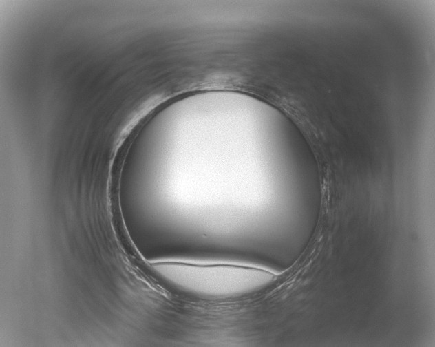 X0000051250292200506170849