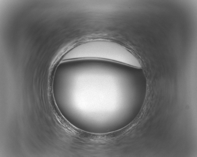 X0000051250293200506170849