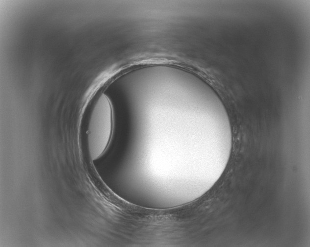 X0000051250296200506170849