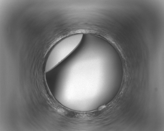 X0000051250297200506170849