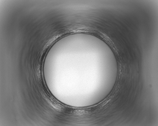 X0000051250298200506170849