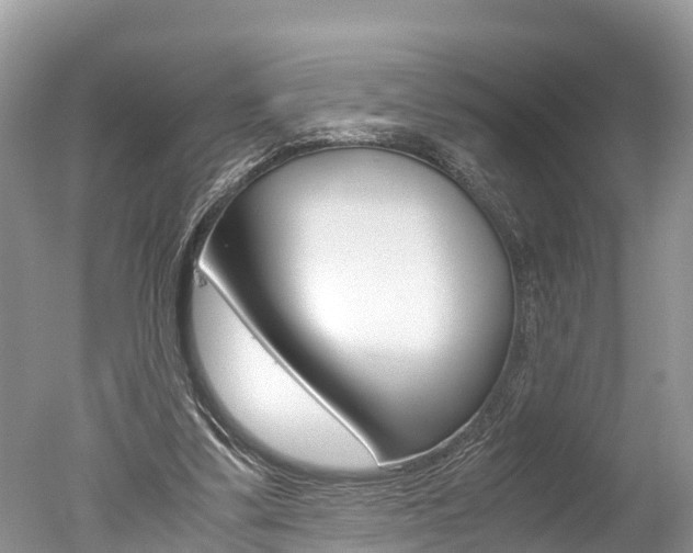 X0000051250299200506170849