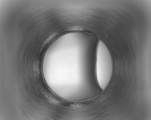 X0000051250300200506170849