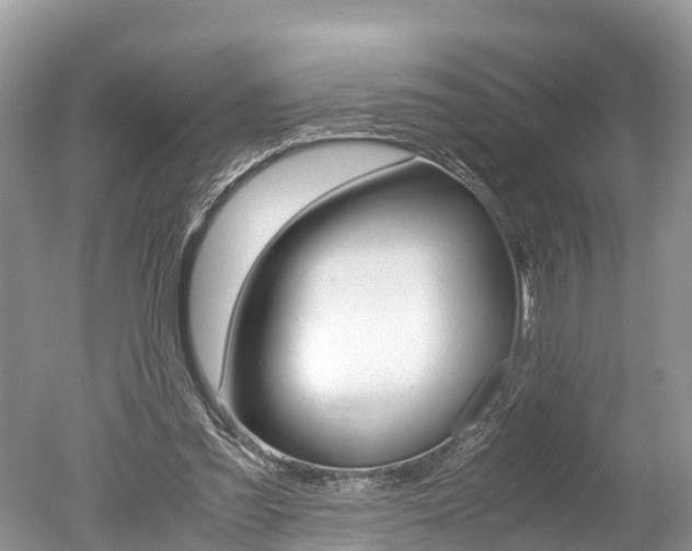 X0000051250301200506170849