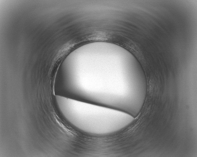 X0000051250302200506170849