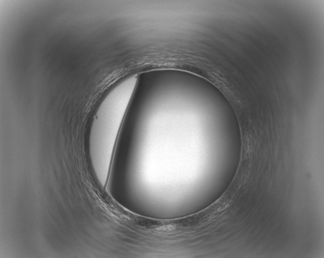 X0000051250309200506170849