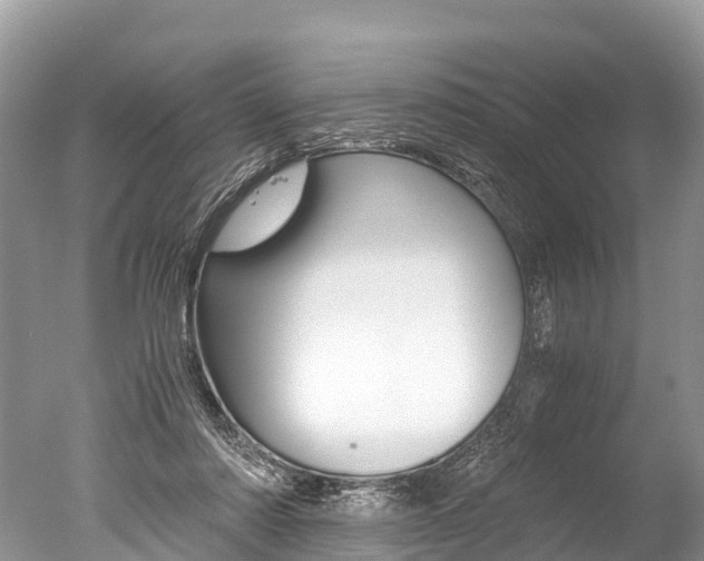 X0000051250310200506170849