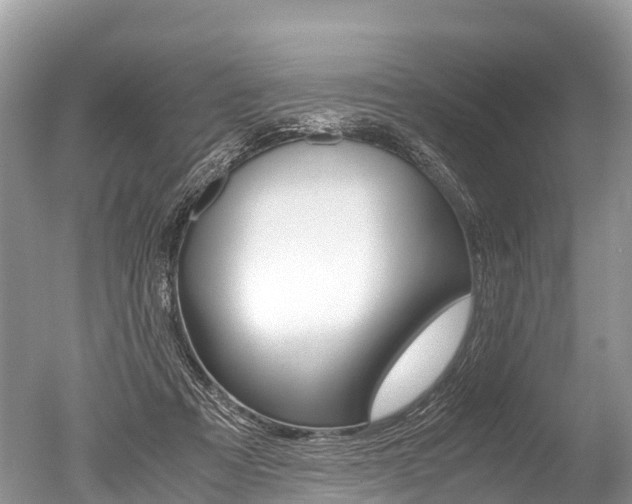 X0000051250313200506170849