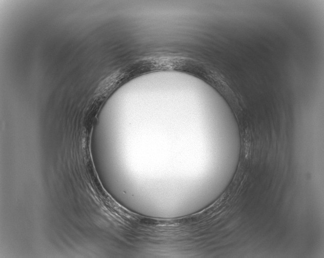 X0000051250314200506170848