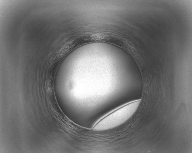 X0000051250317200506170848