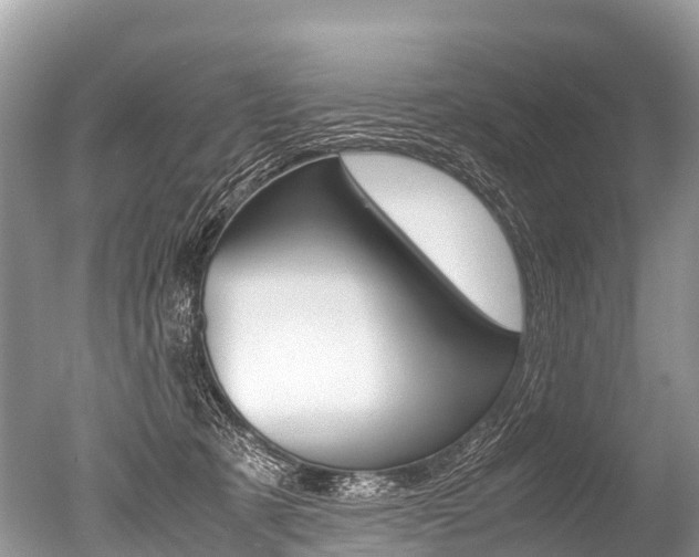 X0000051250321200506170848
