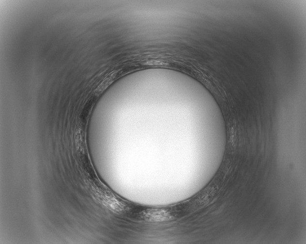 X0000051250322200506170848