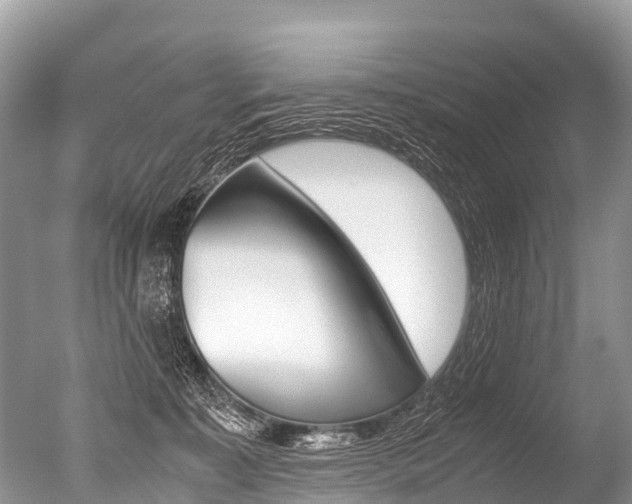 X0000051250323200506170848