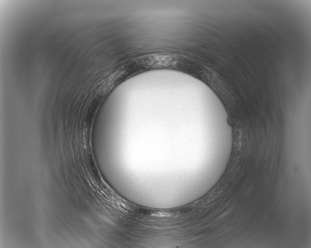 X0000051250326200506170848