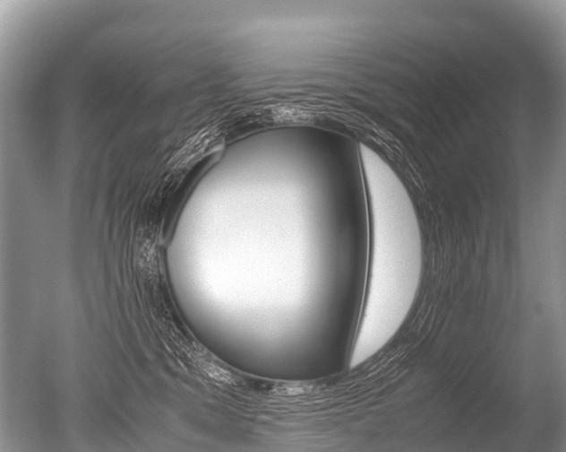 X0000051250329200506170848