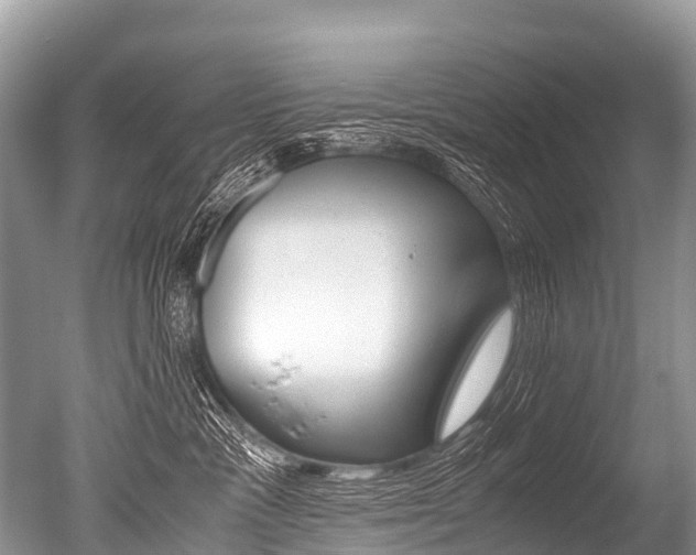 X0000051250333200506170848