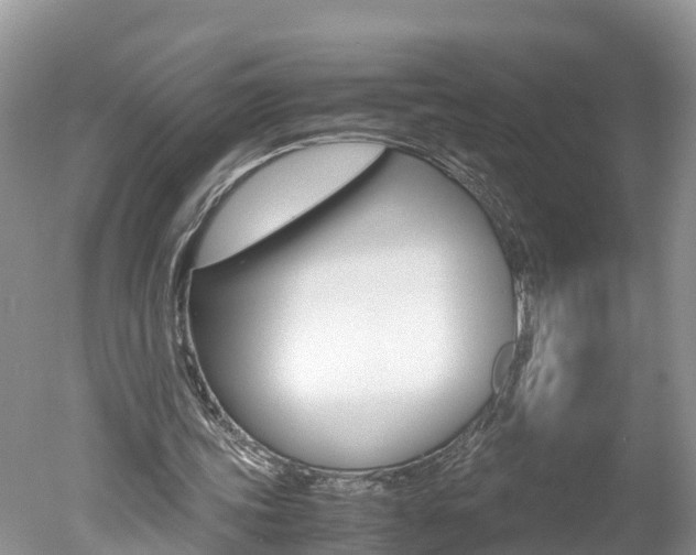 X0000051250339200506170847