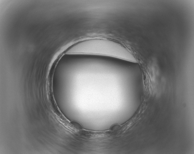 X0000051250342200506170847