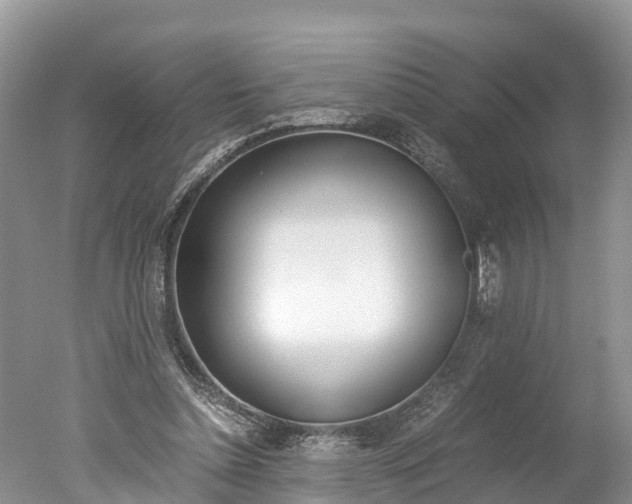 X0000051250348200506170847