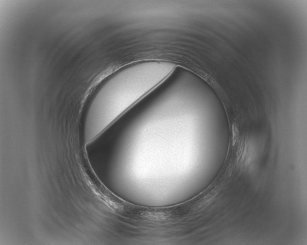 X0000051250349200506170848