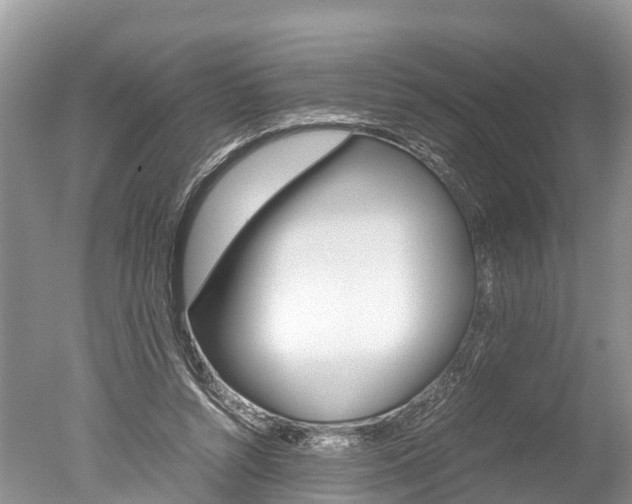 X0000051250352200506170848
