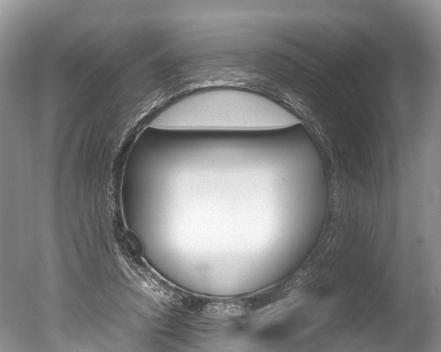 X0000051250354200506170848