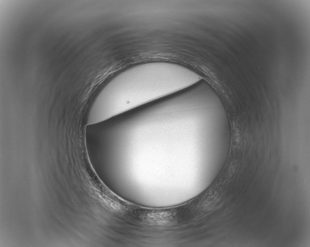 X0000051250357200506170848