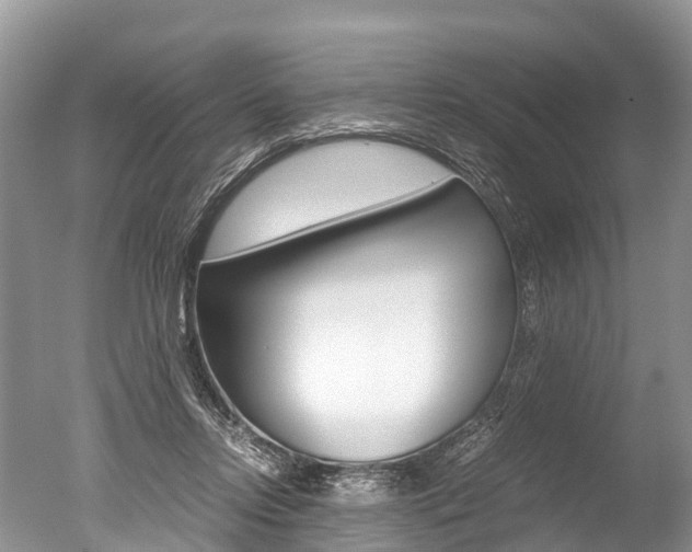 X0000051250358200506170848