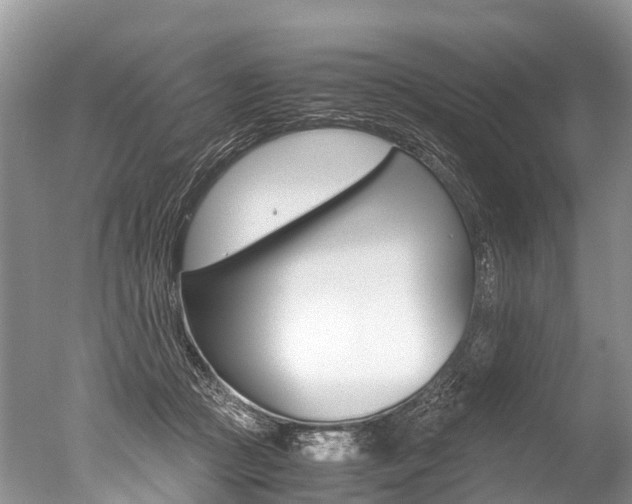 X0000051250361200506170848