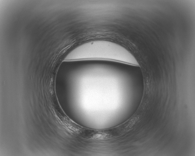 X0000051250364200506170848