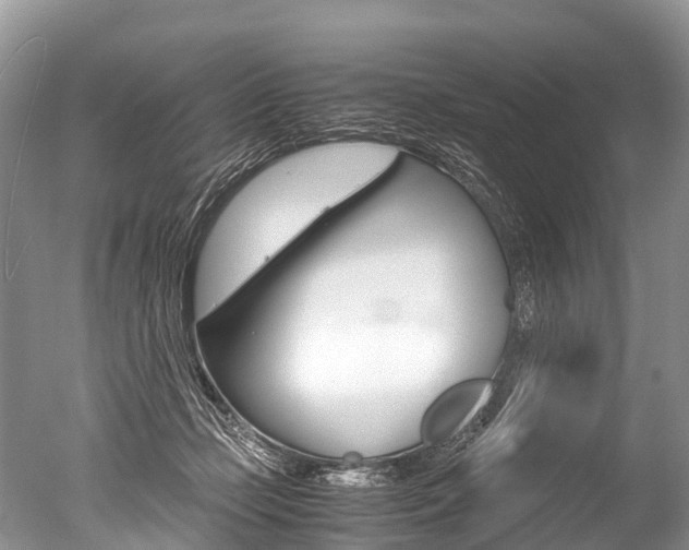 X0000051250365200506170848