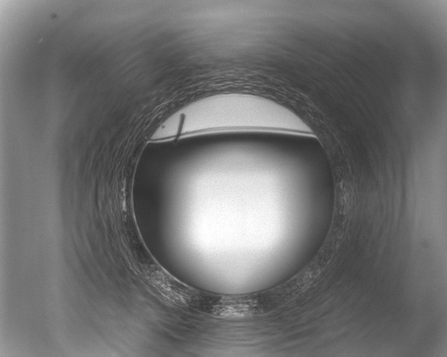 X0000051250368200506170848