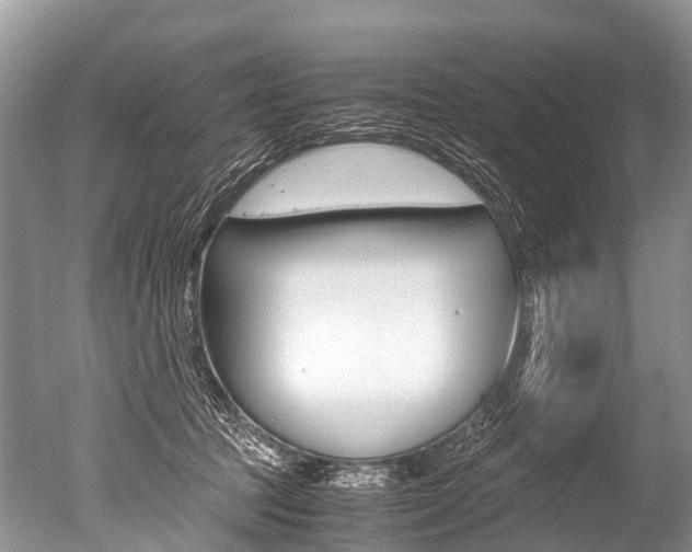 X0000051250369200506170848