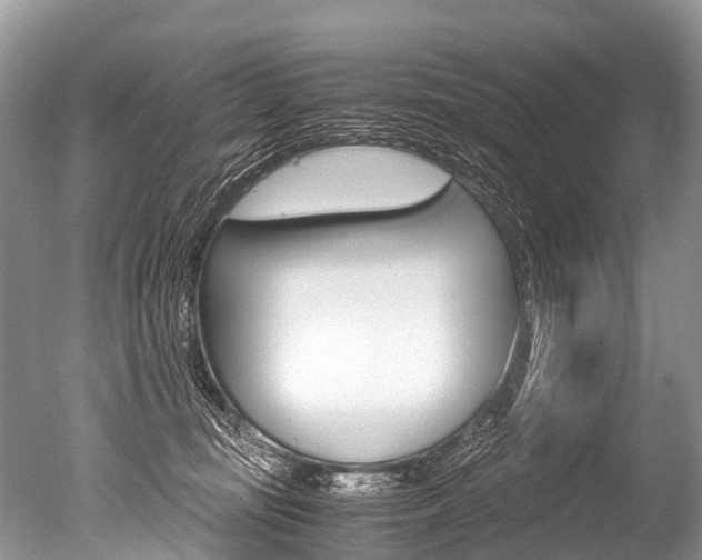 X0000051250371200506170848