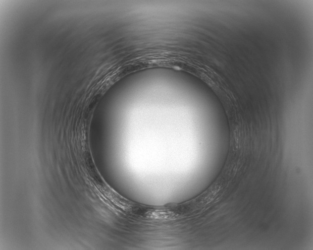 X0000051250372200506170848