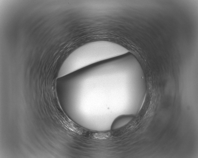 X0000051250373200506170848