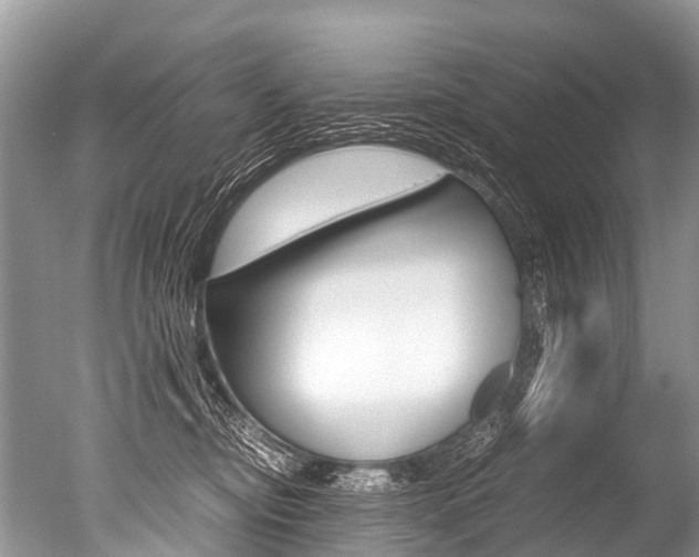 X0000051250374200506170848