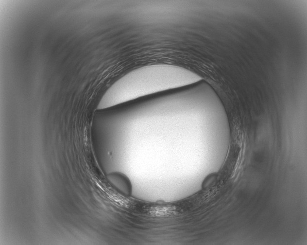 X0000051250375200506170848