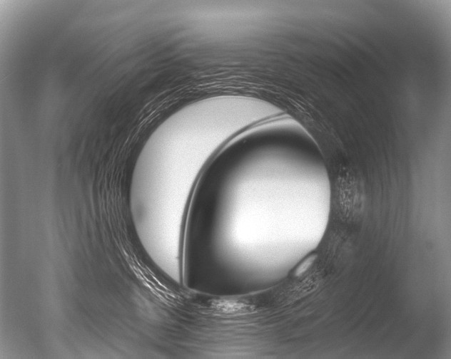 X0000051250380200506170848