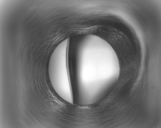 X0000051250383200506170848