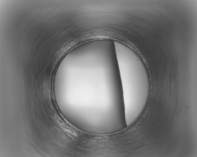 X0000051250386200506170847