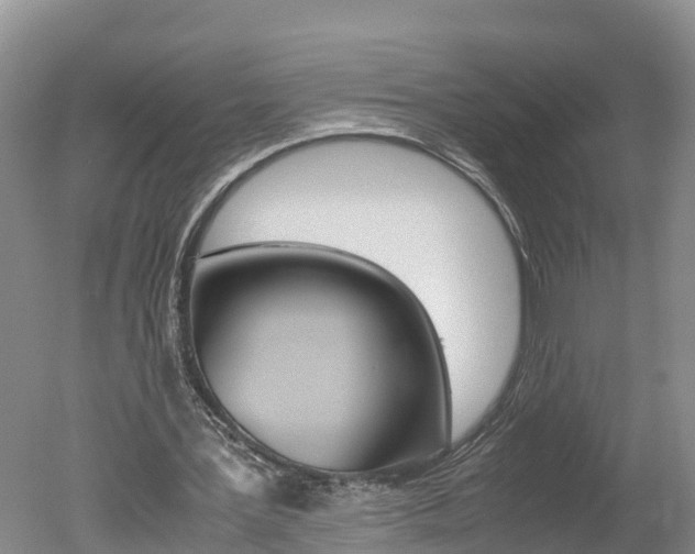X0000051250387200506170847