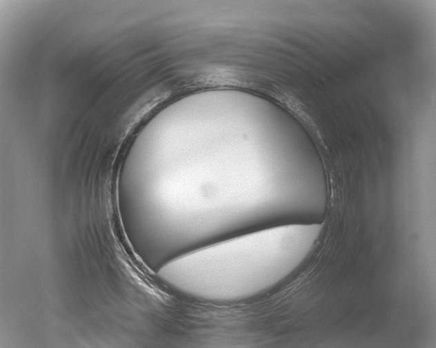 X0000051250390200506170847