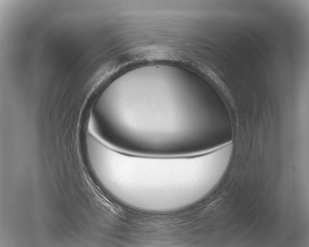 X0000051250391200506170847