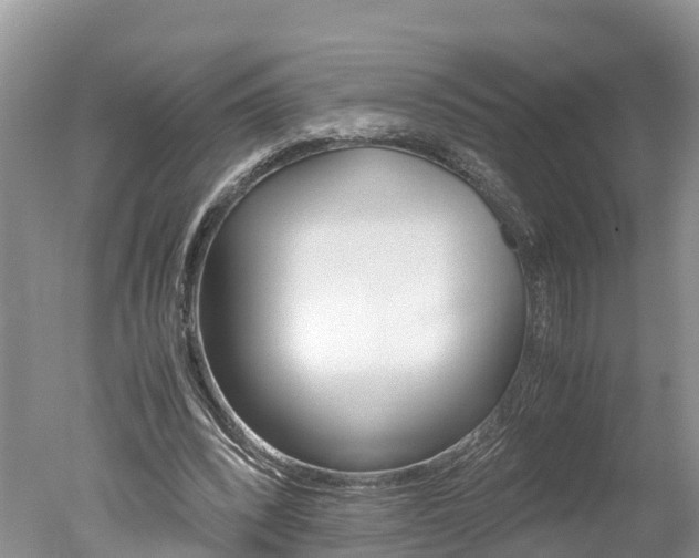 X0000051250392200506170847
